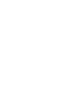 An image of some flowers.